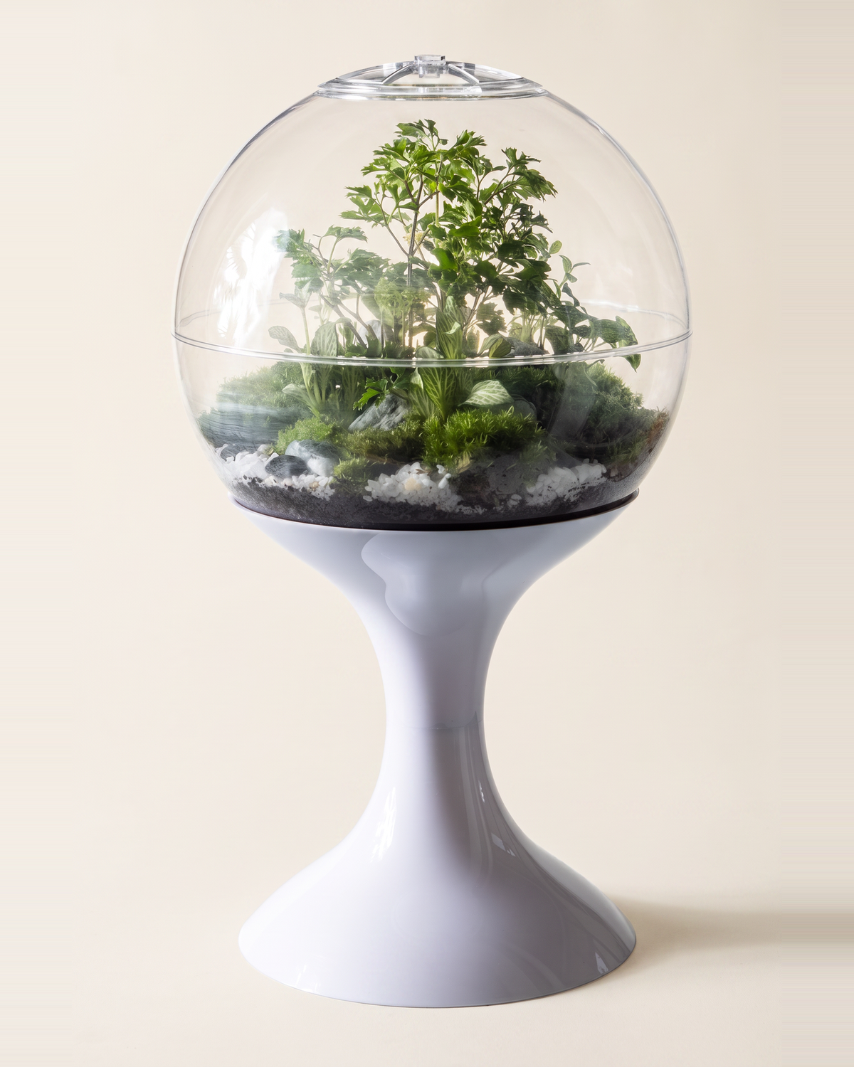 Potifiv Atomic Space Age Terrarium in Lunar White, full product view on a plain cream background