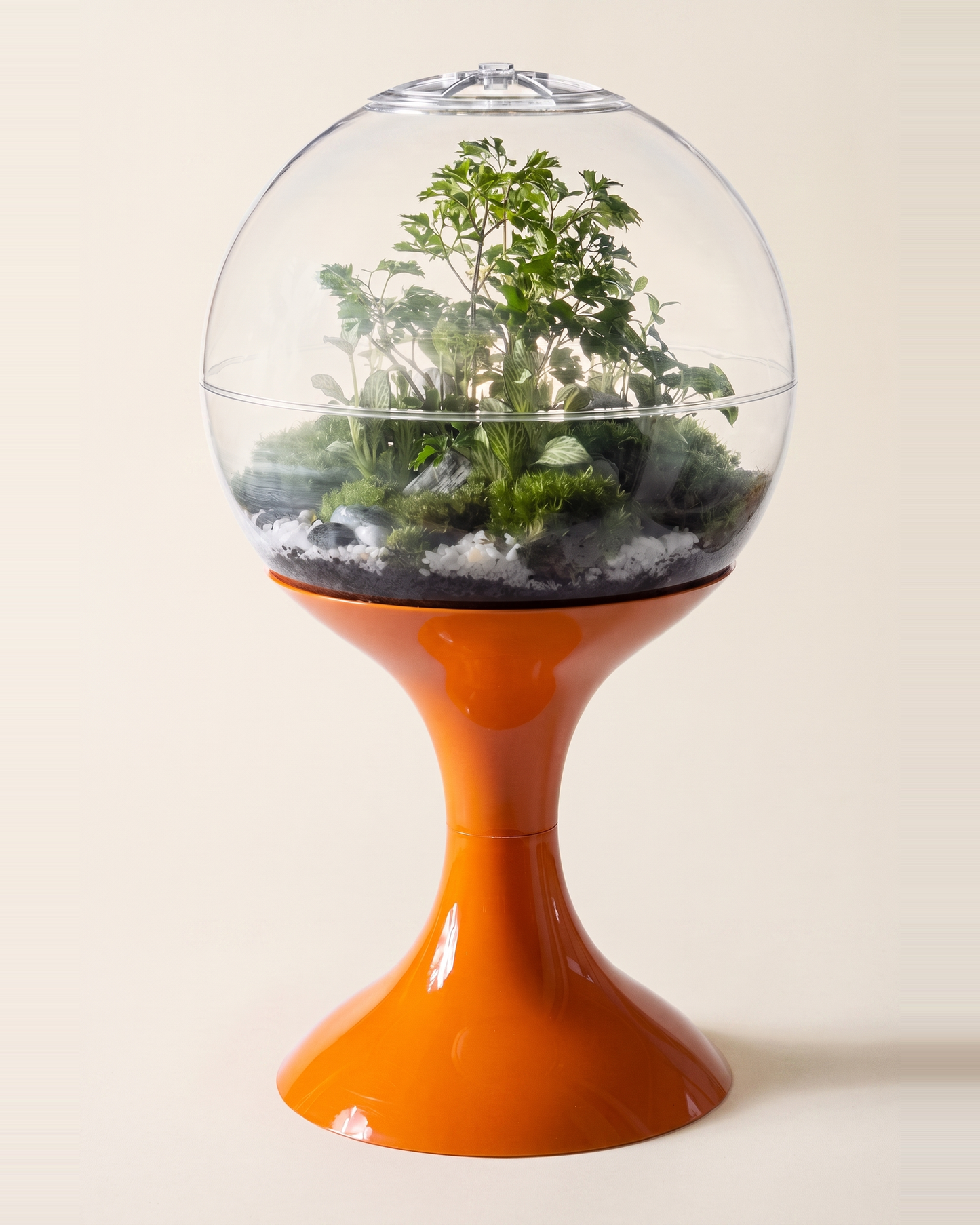 Atomic Space Age Terrarium