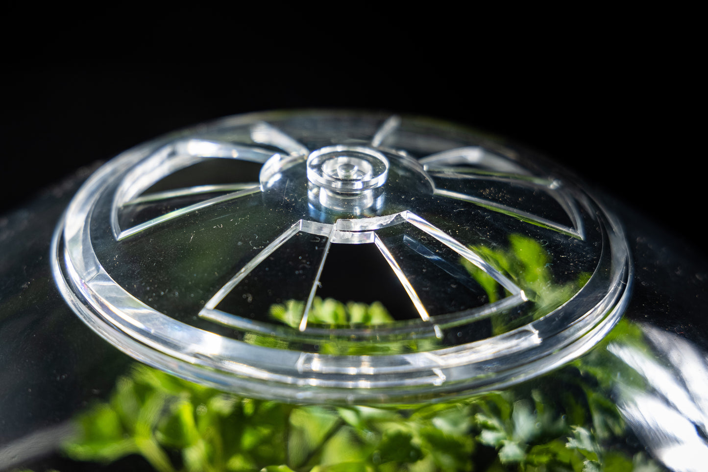 Atomic Space Age Terrarium