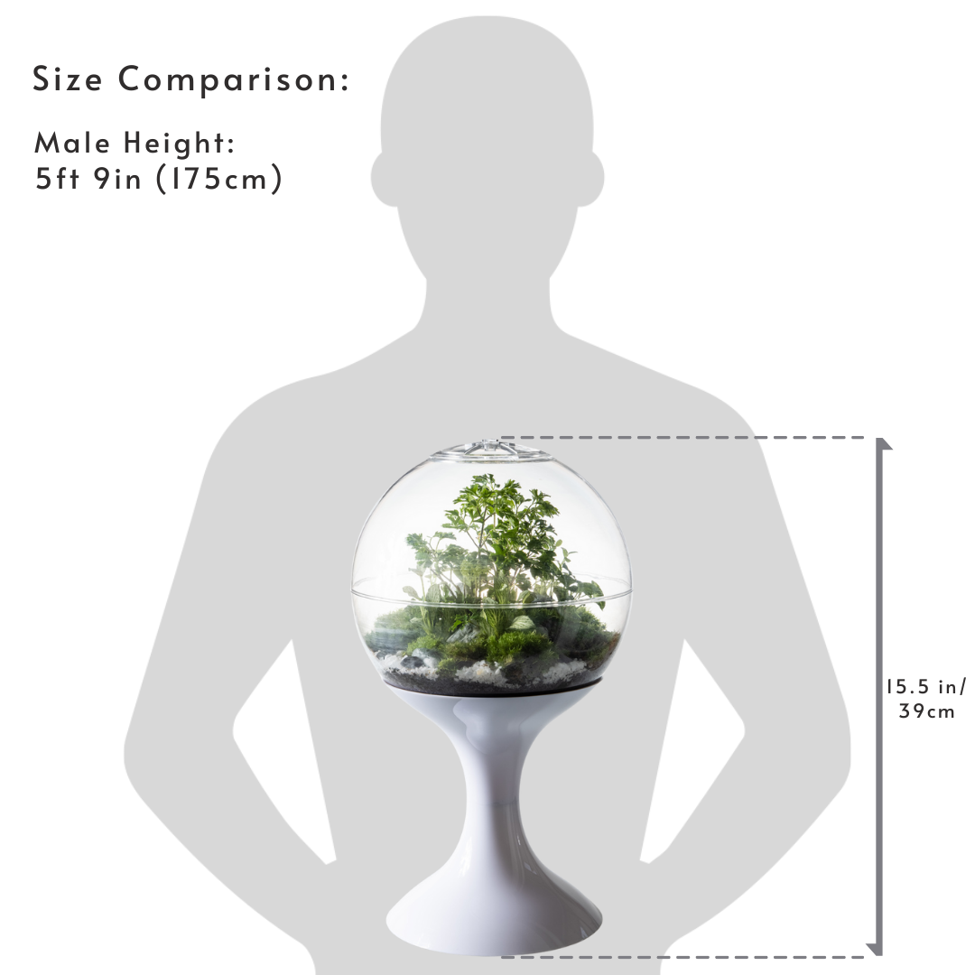 Size comparison chart for the Potifiv Atomic Space Age Terrarium, 9 inch sphere and 15.5 inch full height