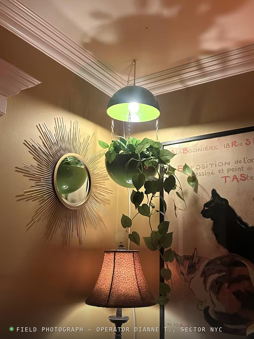 Pendant Planter