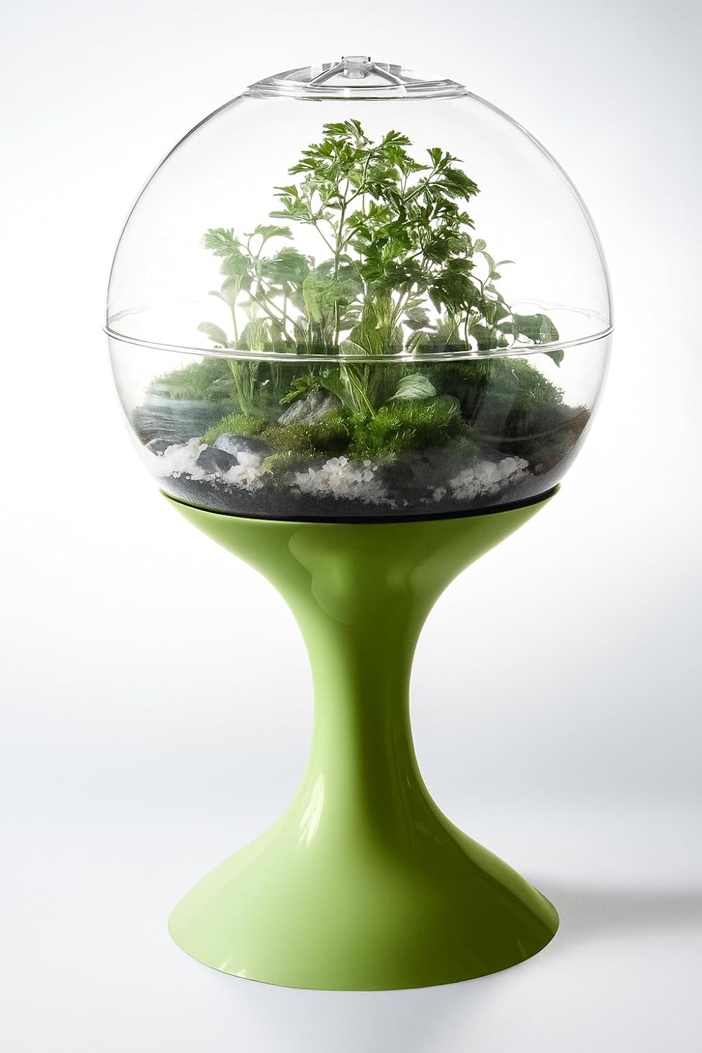 Complete Habitat Pairing: Atomic Green terrarium surface specimen