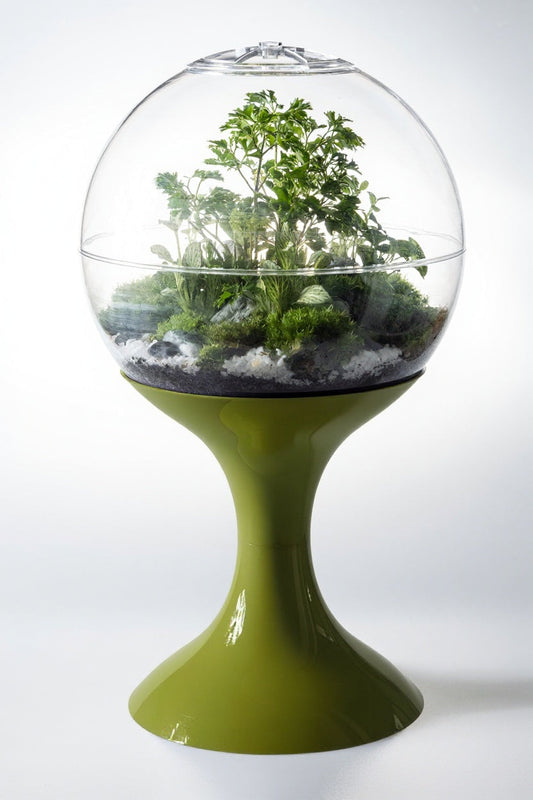 Atomic Space Age Terrarium, Atomic Green: planted specimen, studio hero
