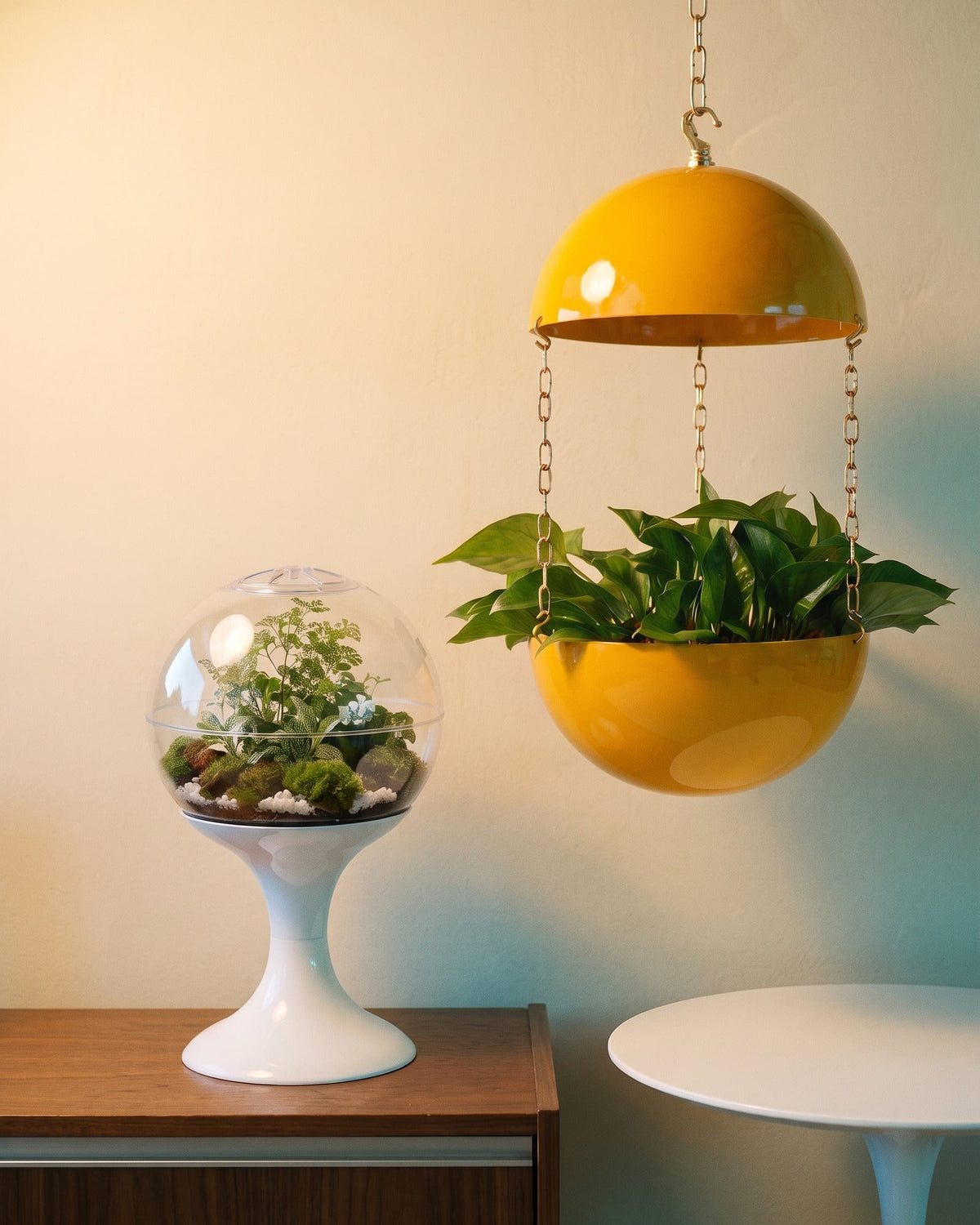 Lunar White Potifiv terrarium on a walnut credenza beside a Mercury Yellow pendant planter suspended on a gold-colored chain, in a warm mid-century modern room