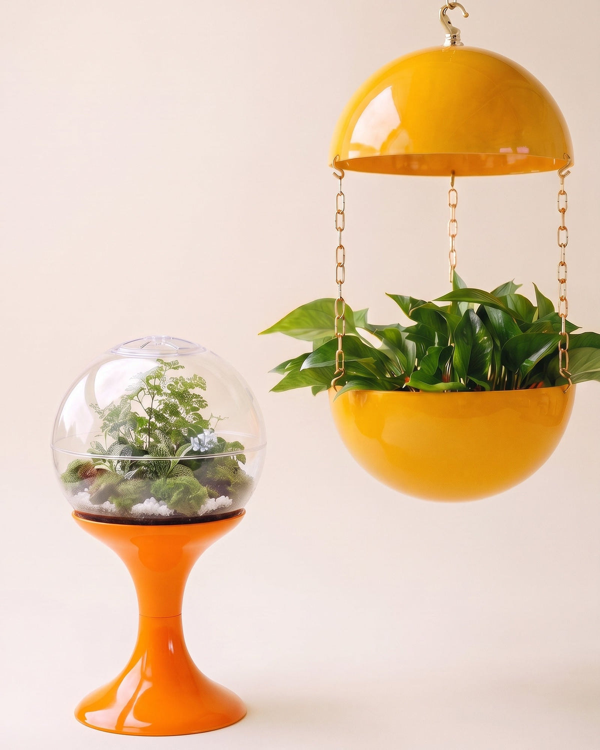 Solar Orange terrarium beside a Mercury Yellow pendant planter suspended on a brass chain, on a plain cream studio field