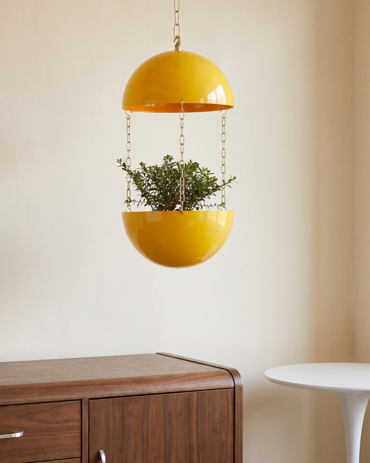 Mercury Yellow Potifiv Pendant Planter hanging in a mid century modern interior in neutral daylight