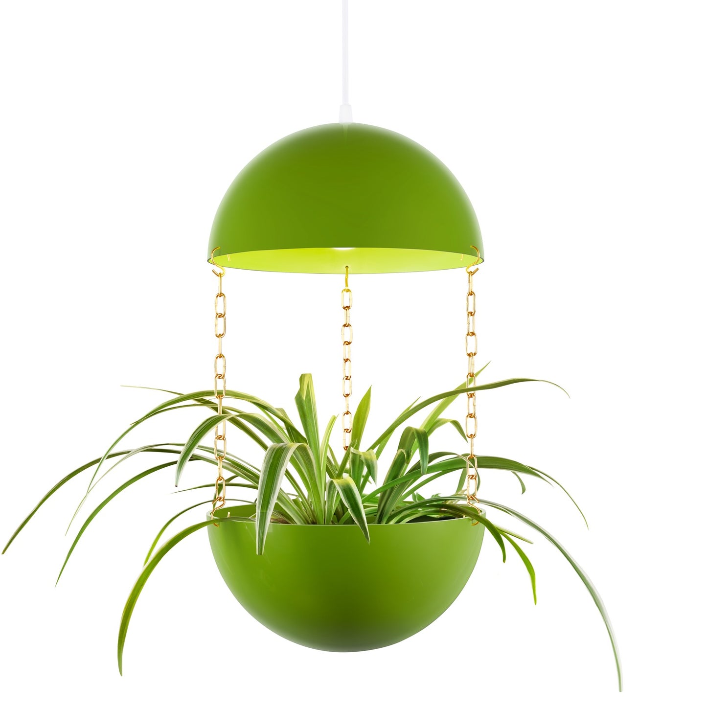 Pendant Planter