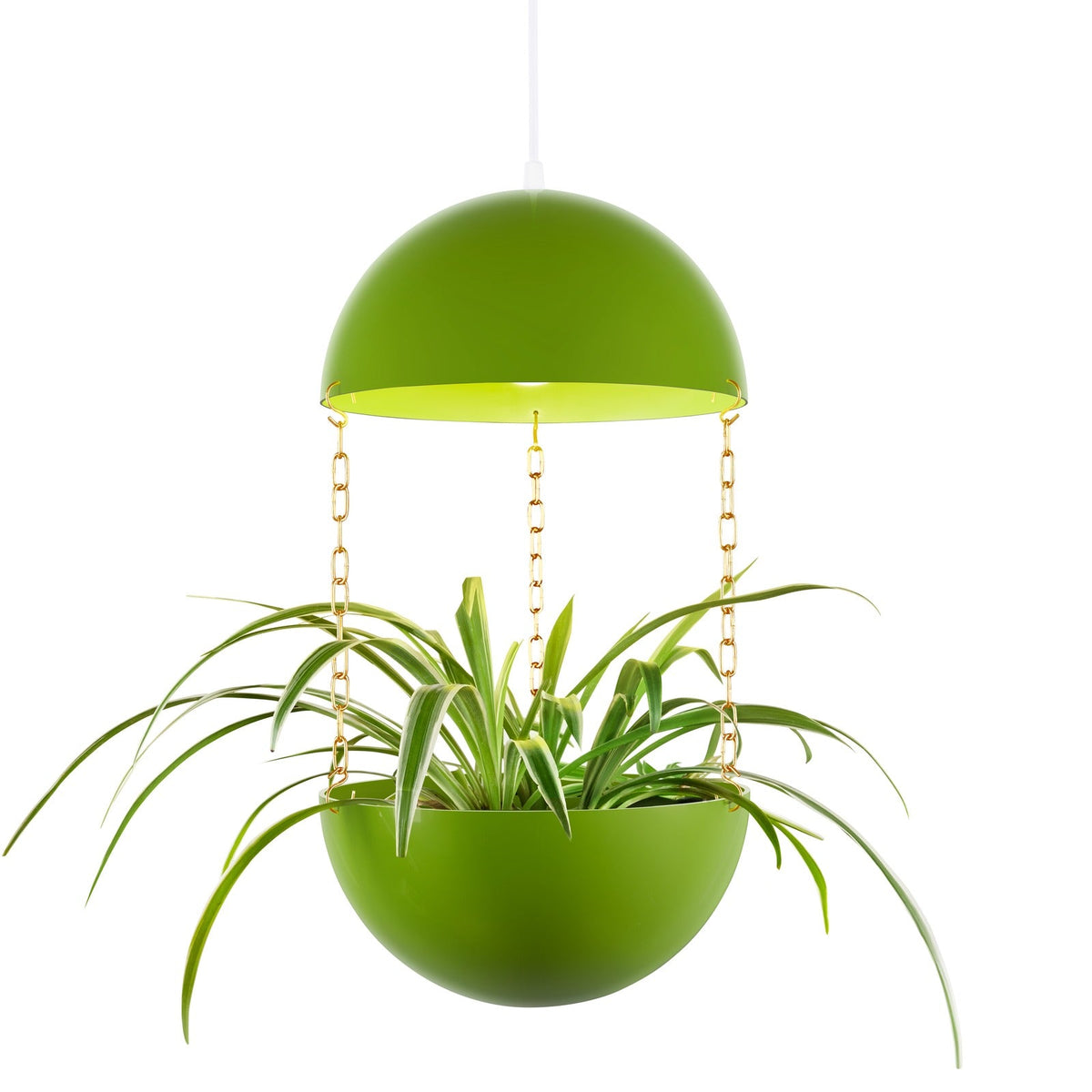 Atomic Green Potifiv pendant planter lit from inside on a white cord, holding a spider plant on three gold-colored chains, against a plain white background.