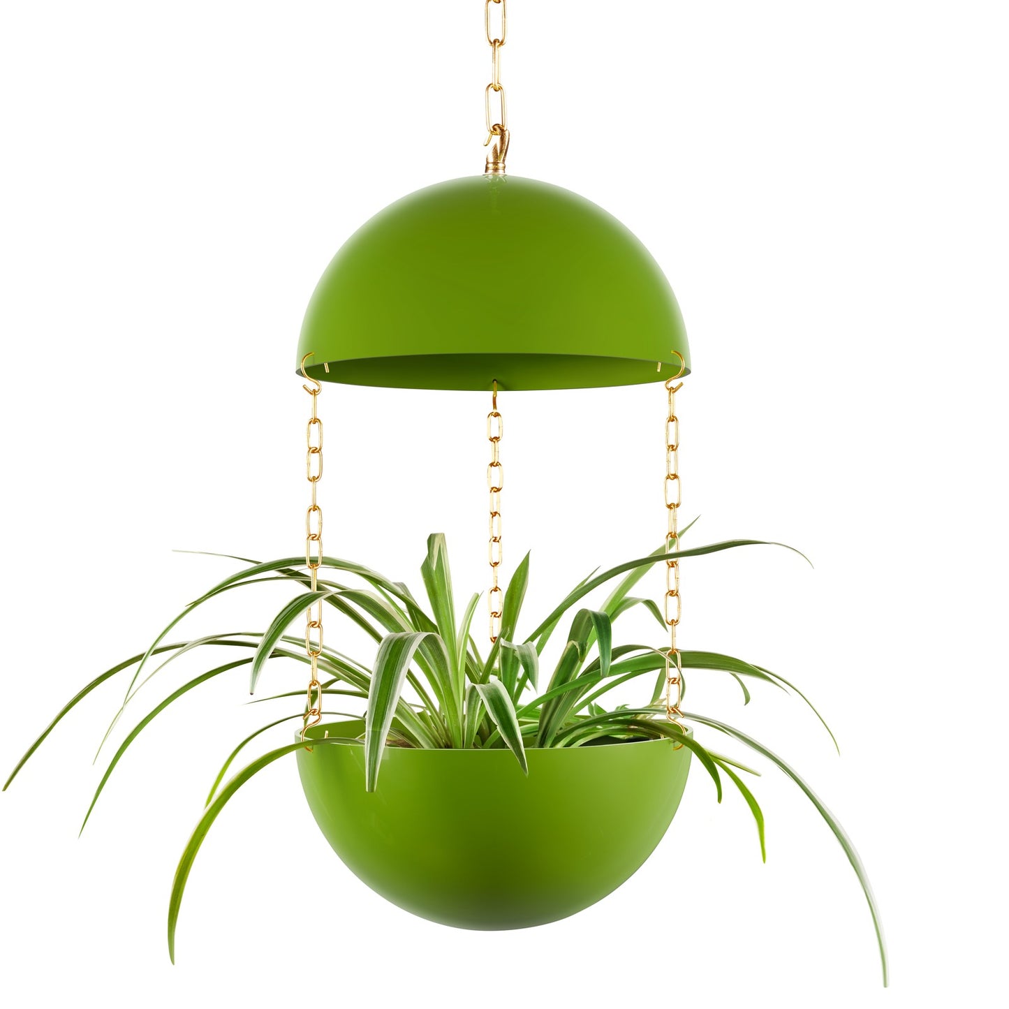Pendant Planter