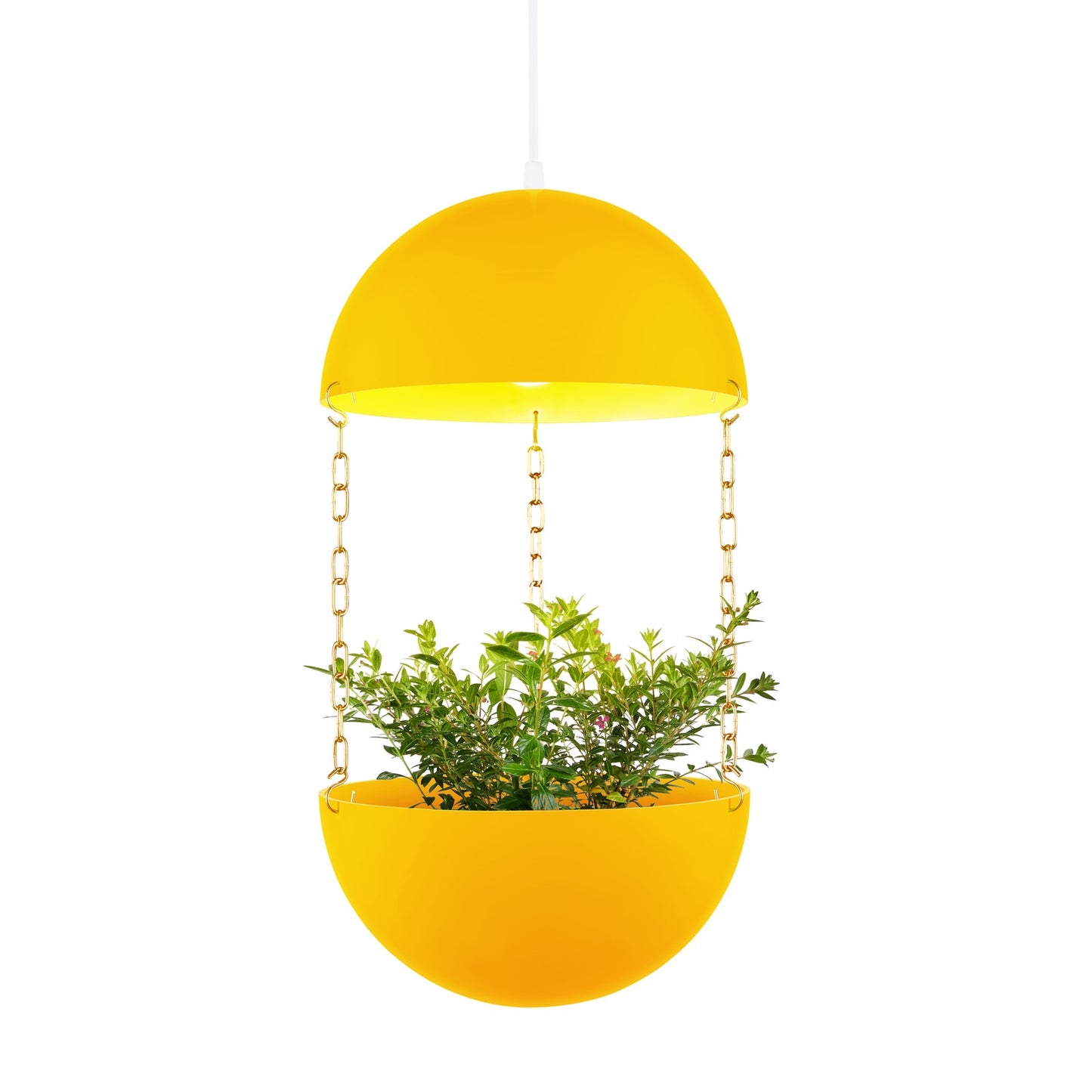 Pendant Planter