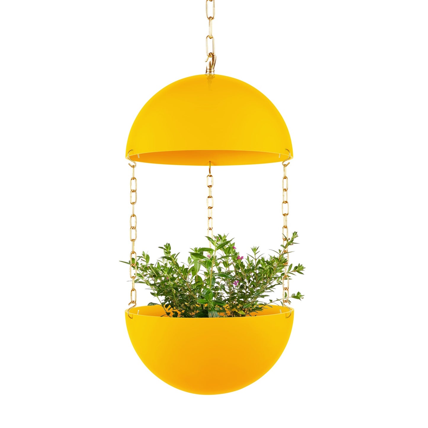 Pendant Planter