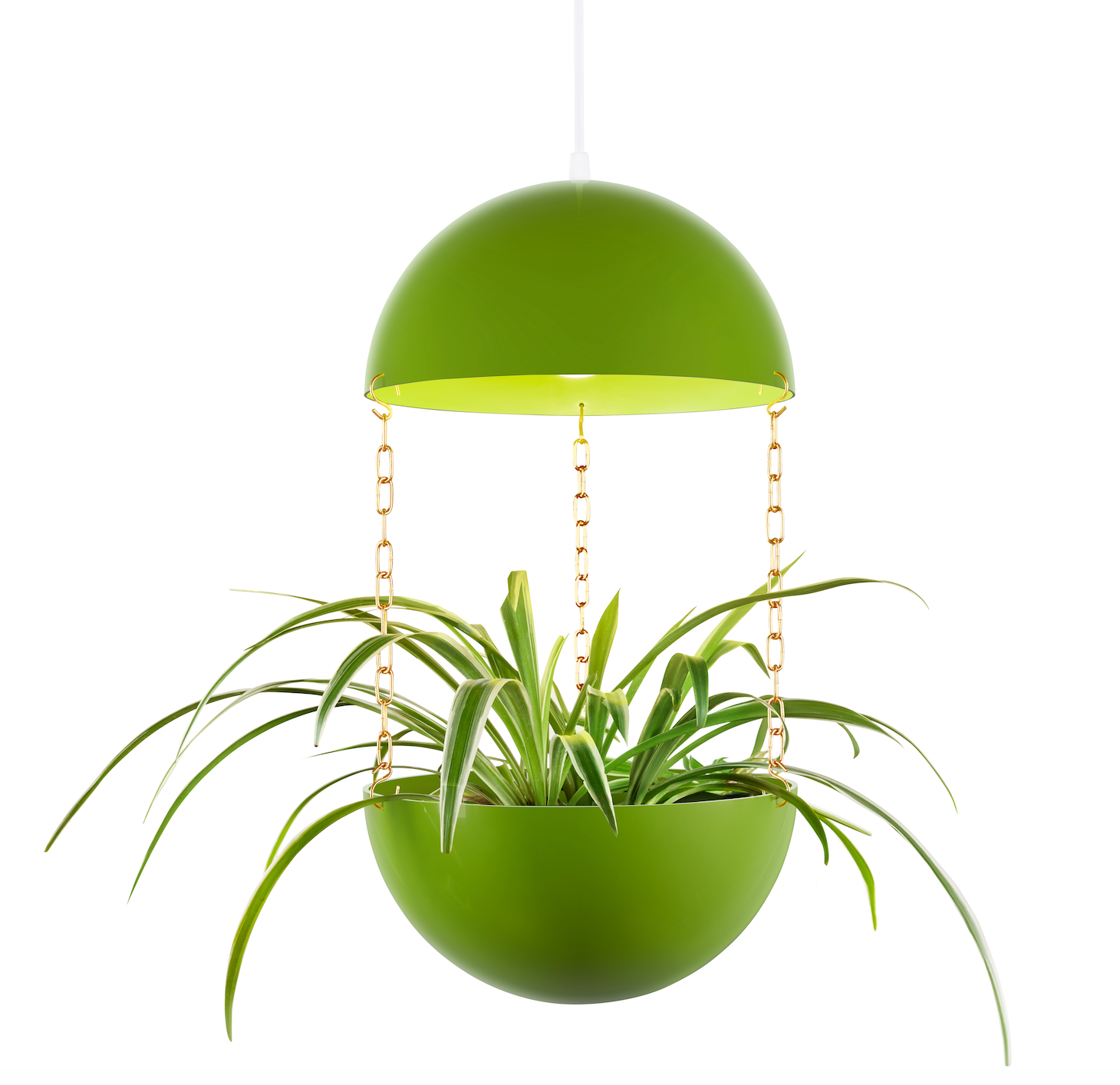 light bulb hanging planter Pendant Planter