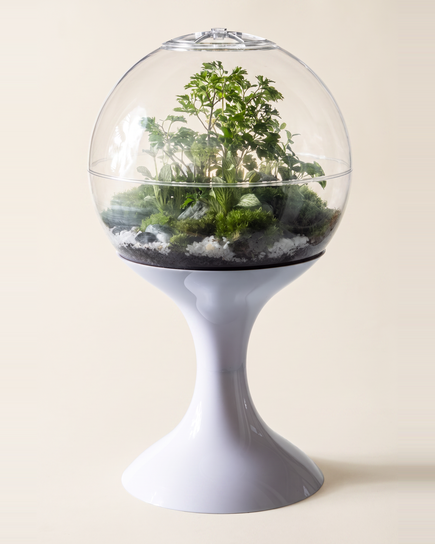 Potifiv Atomic Space Age Terrarium in Lunar White, full product view on a plain cream background