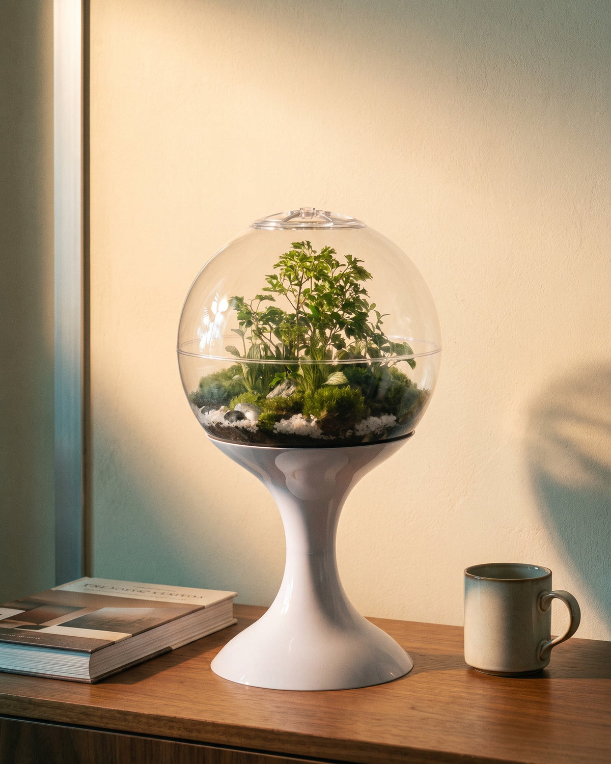 Potifiv Atomic Space Age Terrarium in Lunar White on a walnut credenza, shown to scale beside a hardback book and a coffee mug