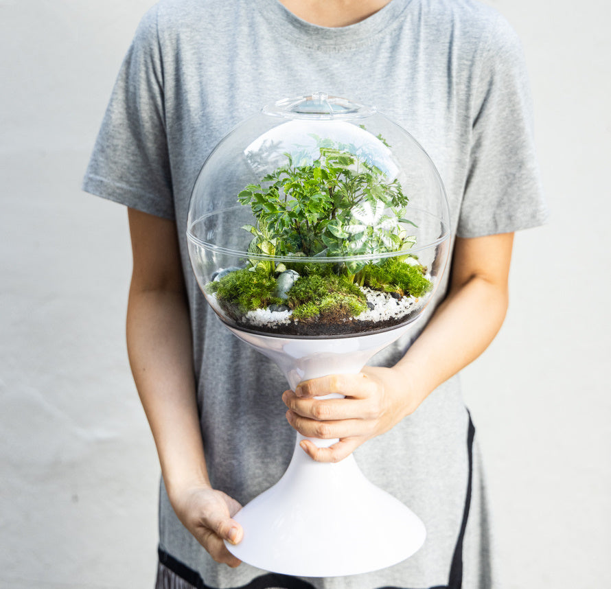 vintage plant terrarium Atomic Space Age Terrarium – Potifiv