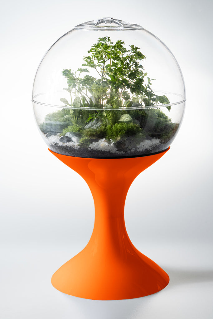 Atomic Space Age Terrarium